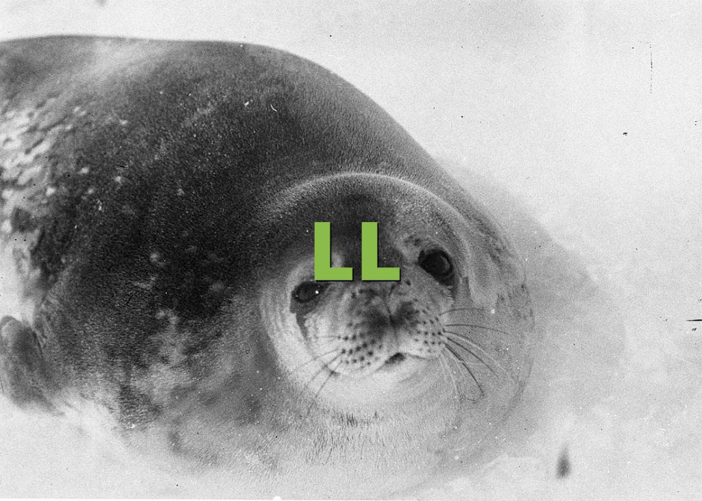 LL