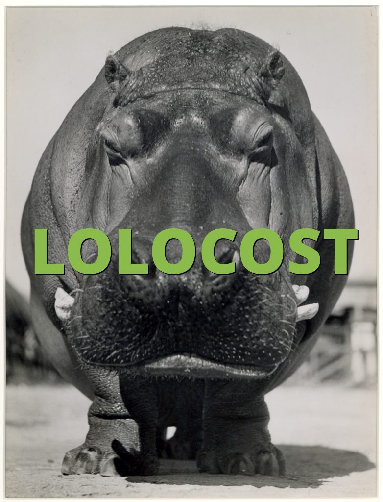 LOLOCOST