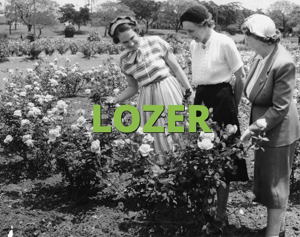 LOZER