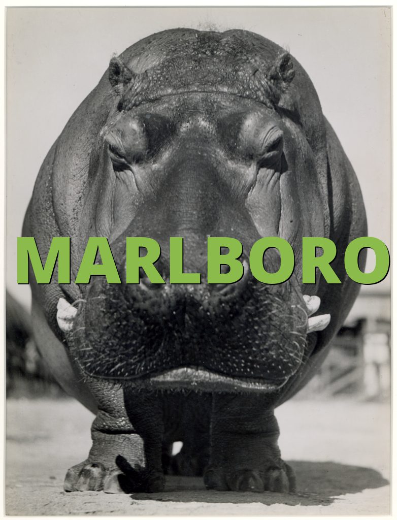 MARLBORO