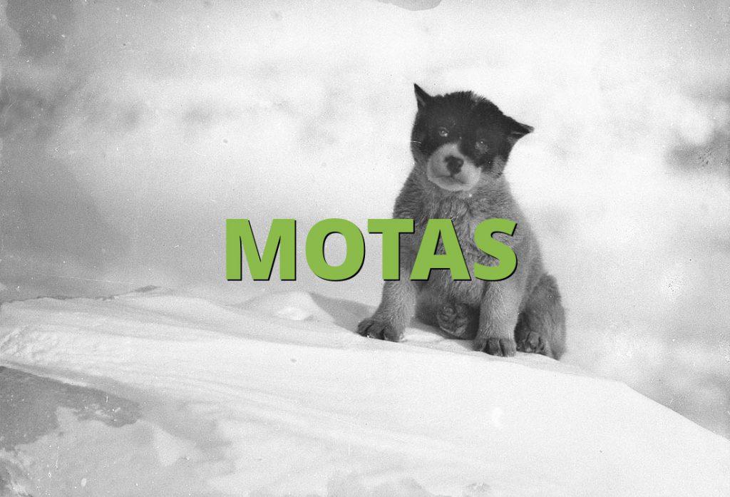 MOTAS