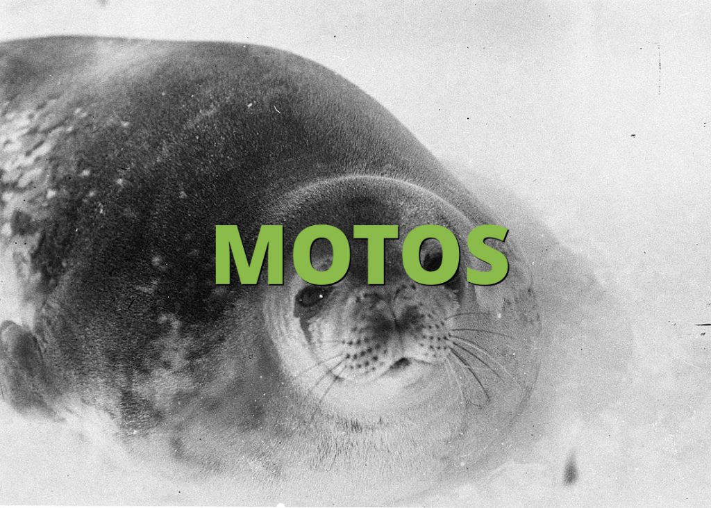 MOTOS