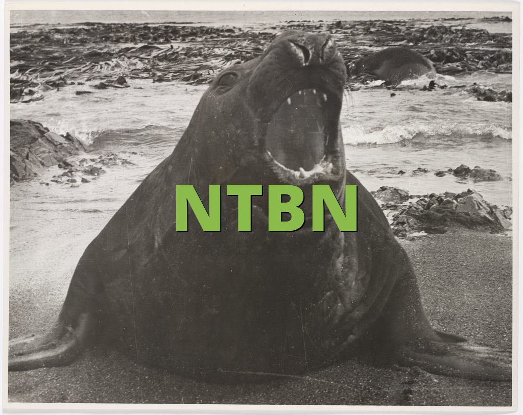 NTBN