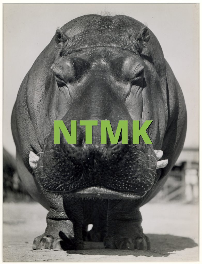 NTMK