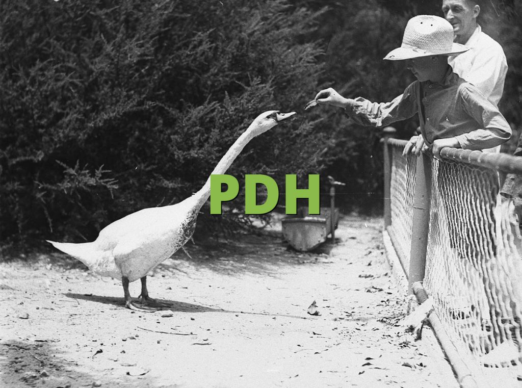 PDH