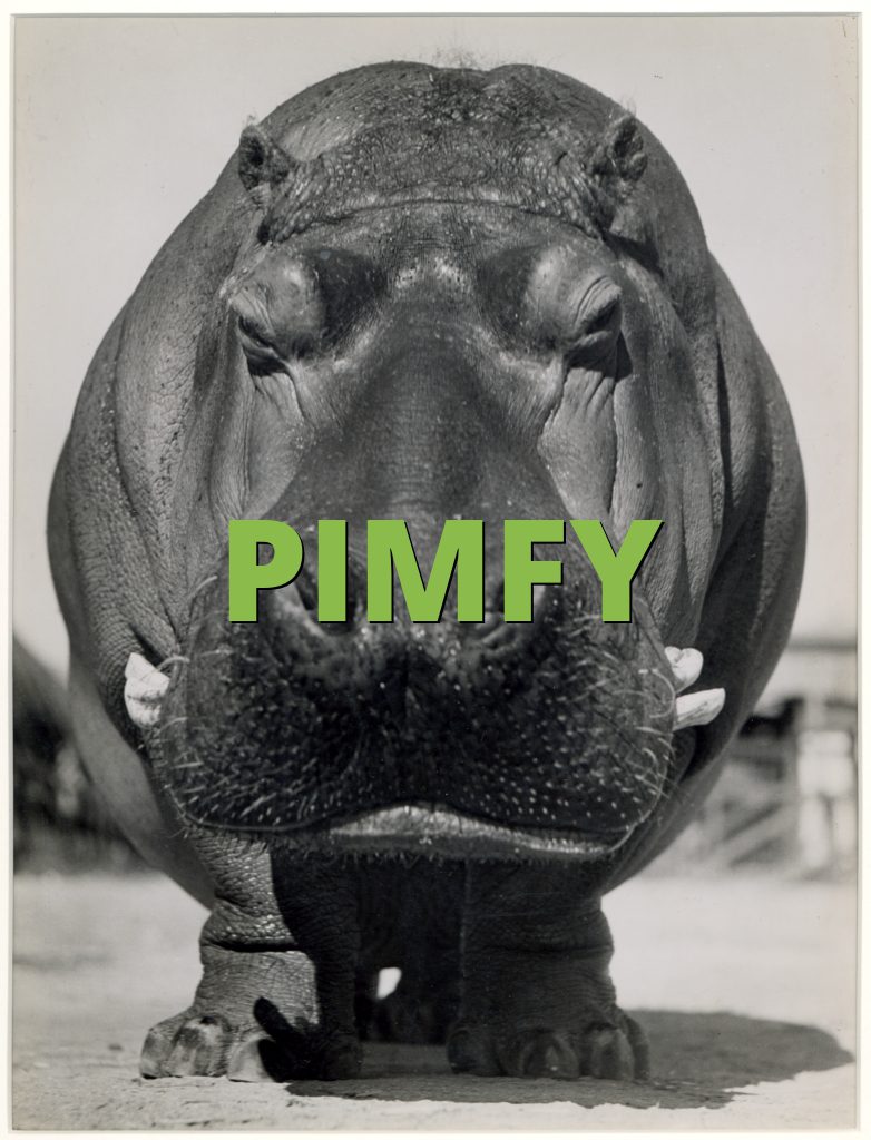 PIMFY