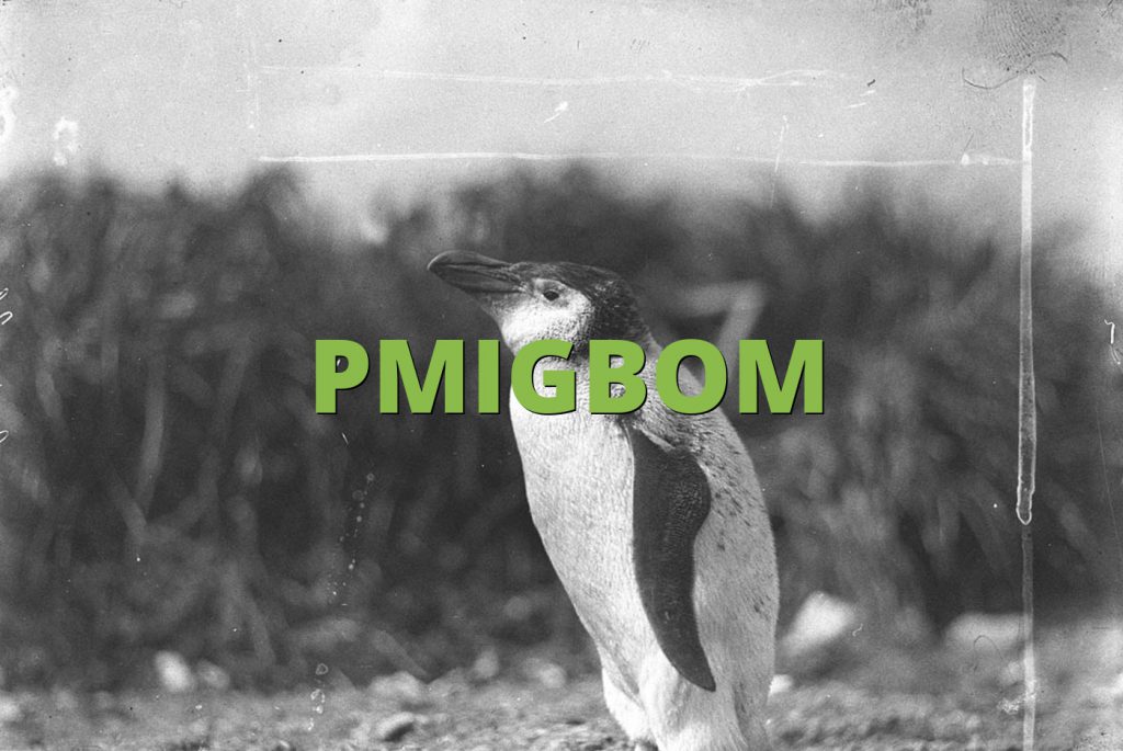 PMIGBOM