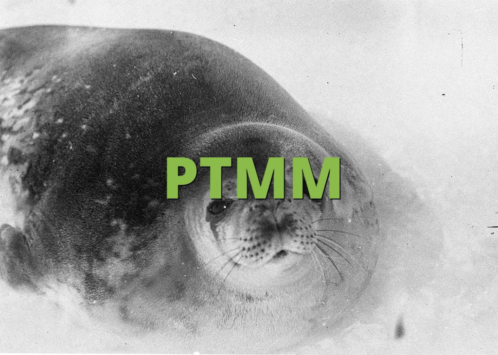 PTMM