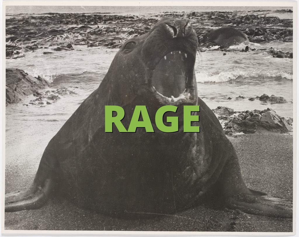 Meaning rage Rage Against