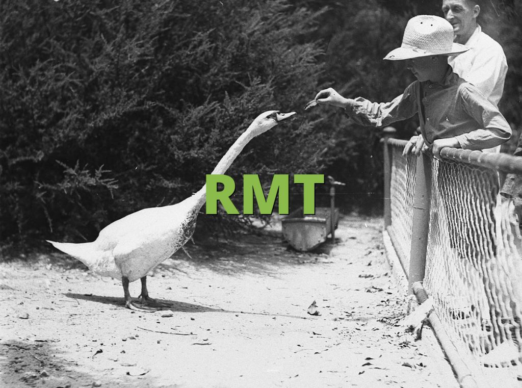 RMT