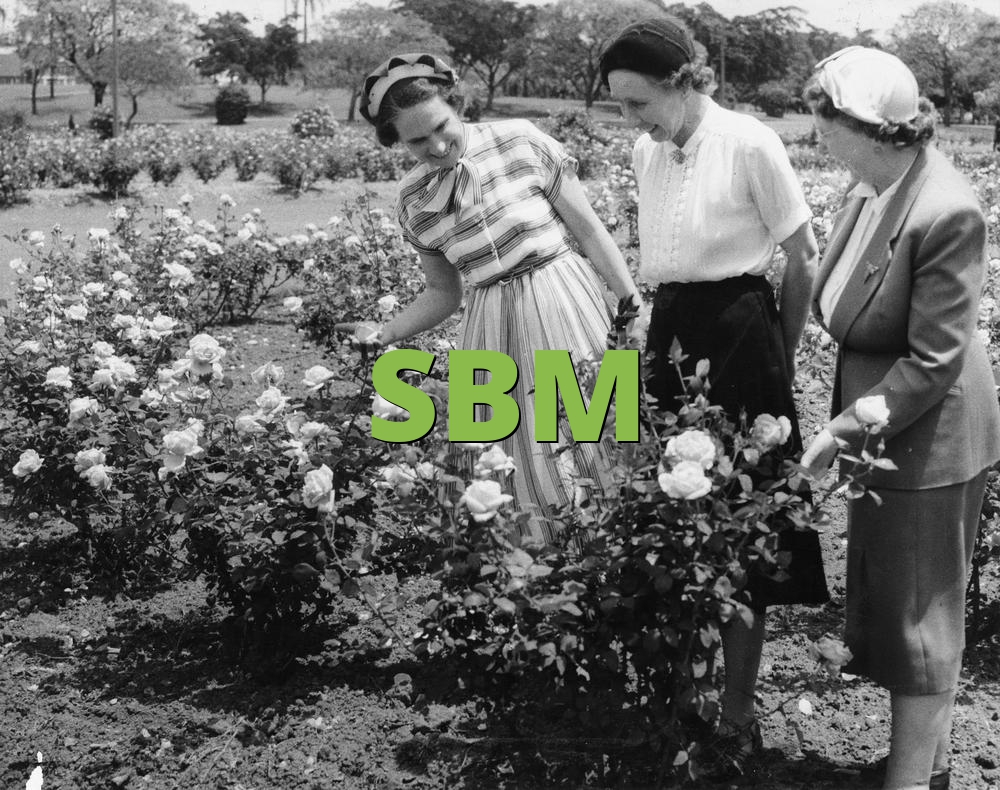 SBM