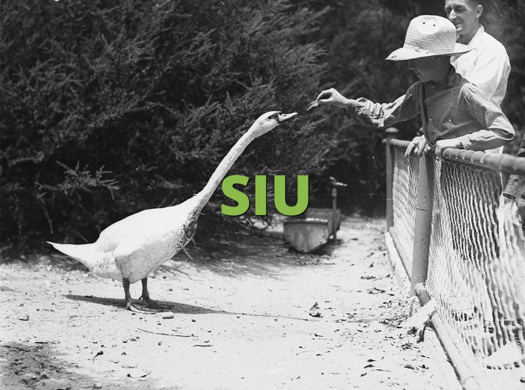 SIU