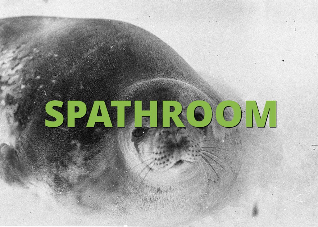 SPATHROOM