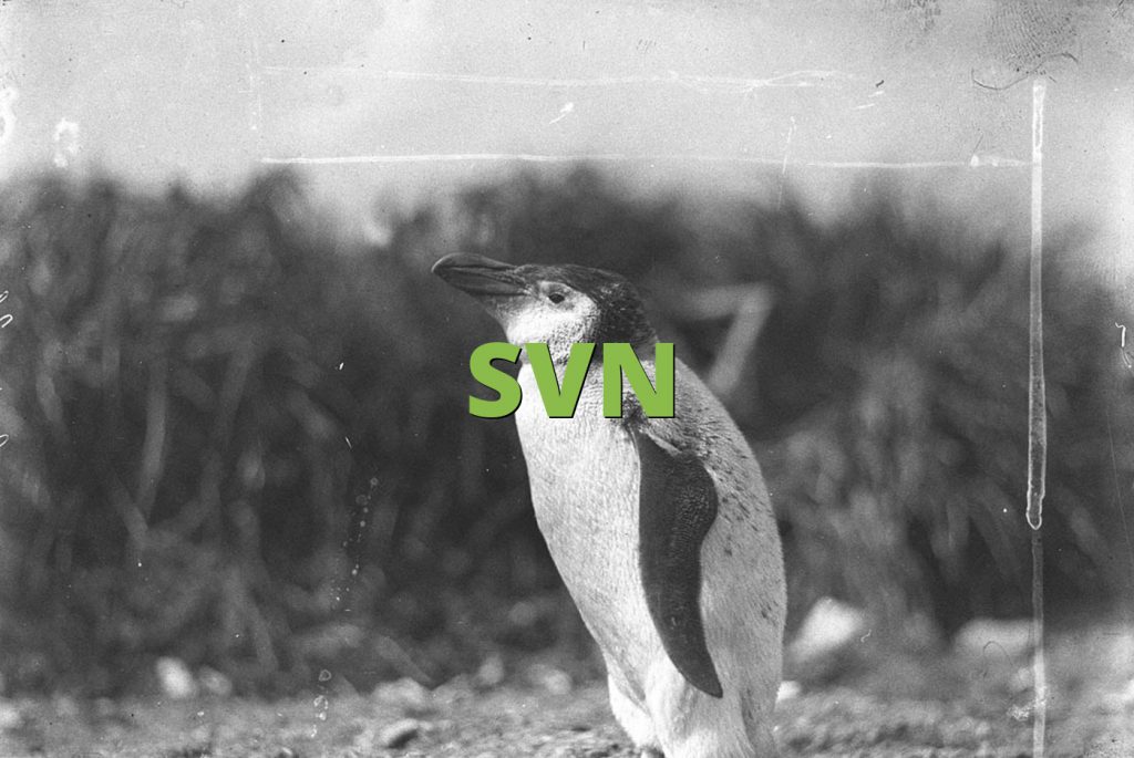 SVN