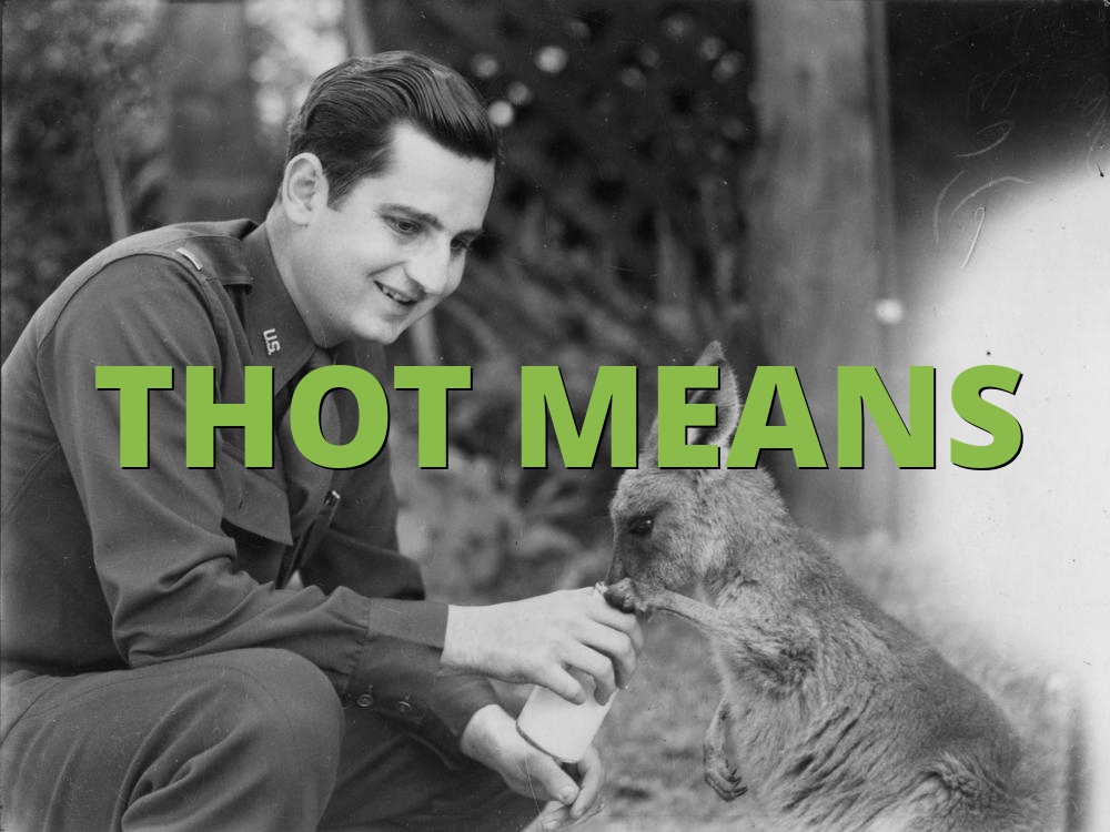 THOT MEANS