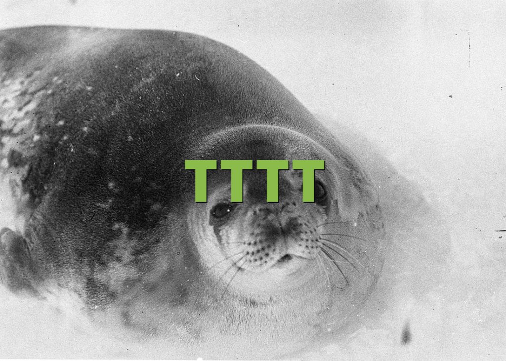 TTTT