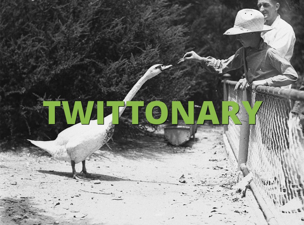 TWITTONARY