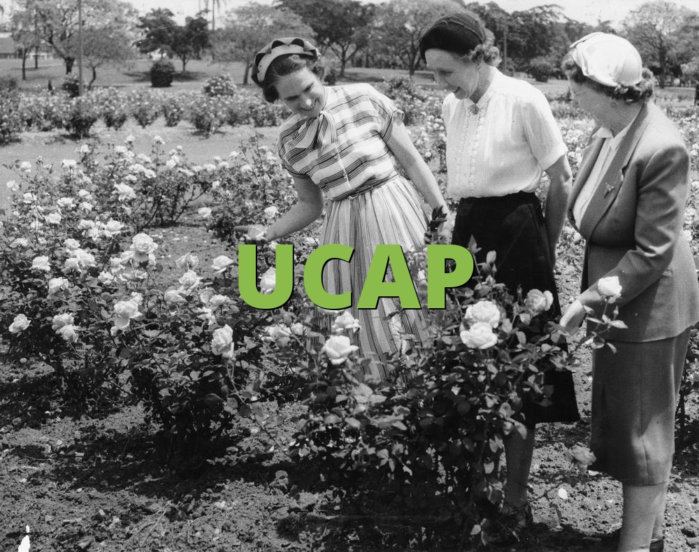 UCAP