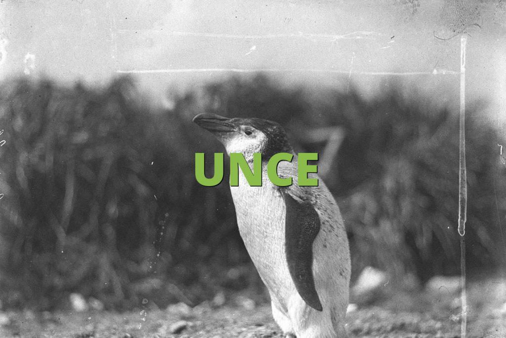 UNCE