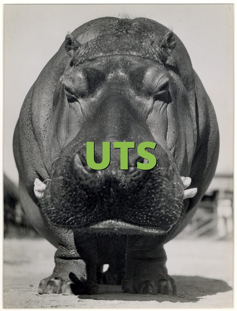 UTS