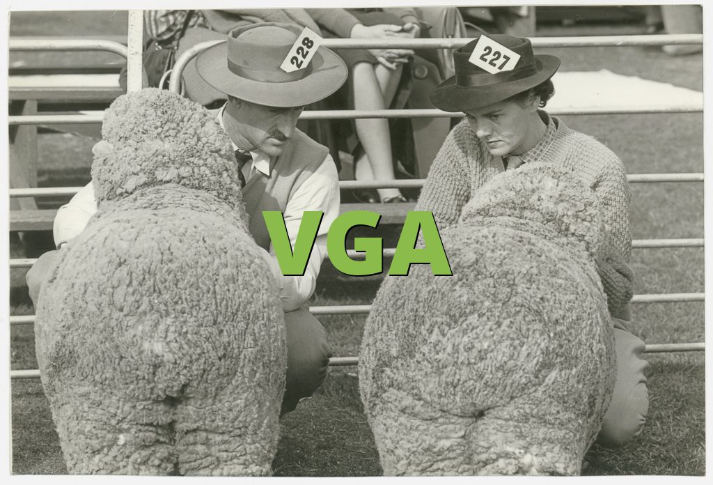 VGA