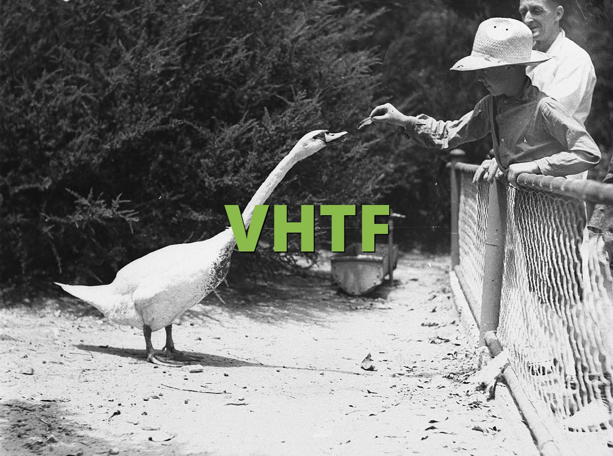 VHTF