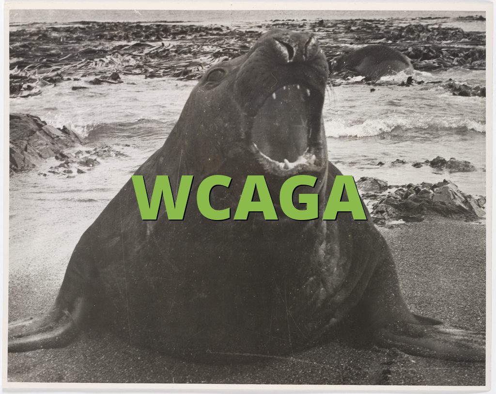 WCAGA