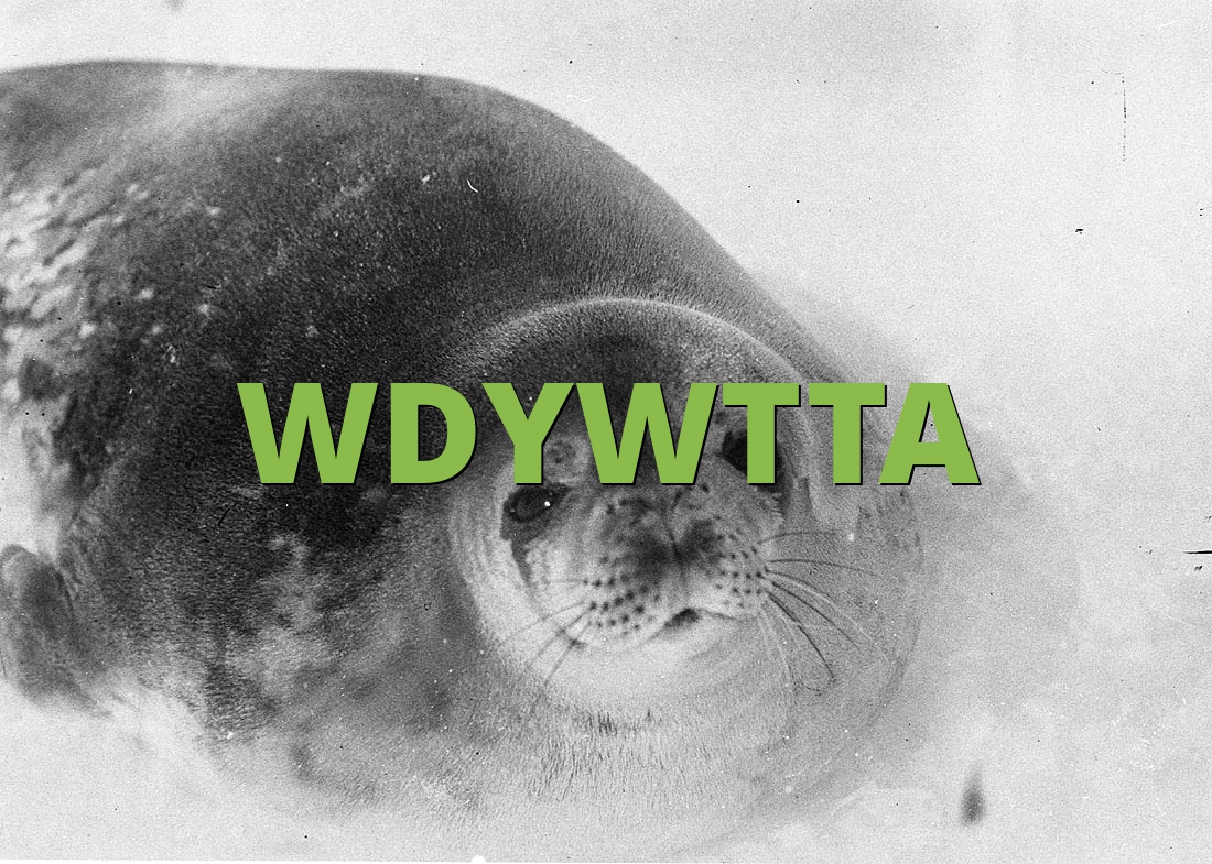 WDYWTTA