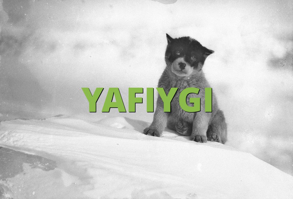 YAFIYGI