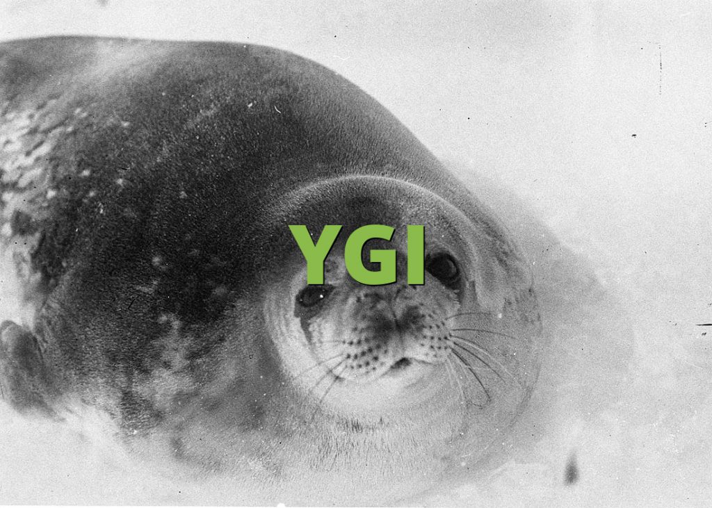 YGI