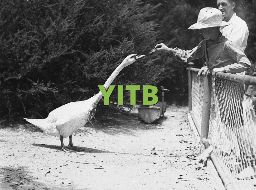 YITB