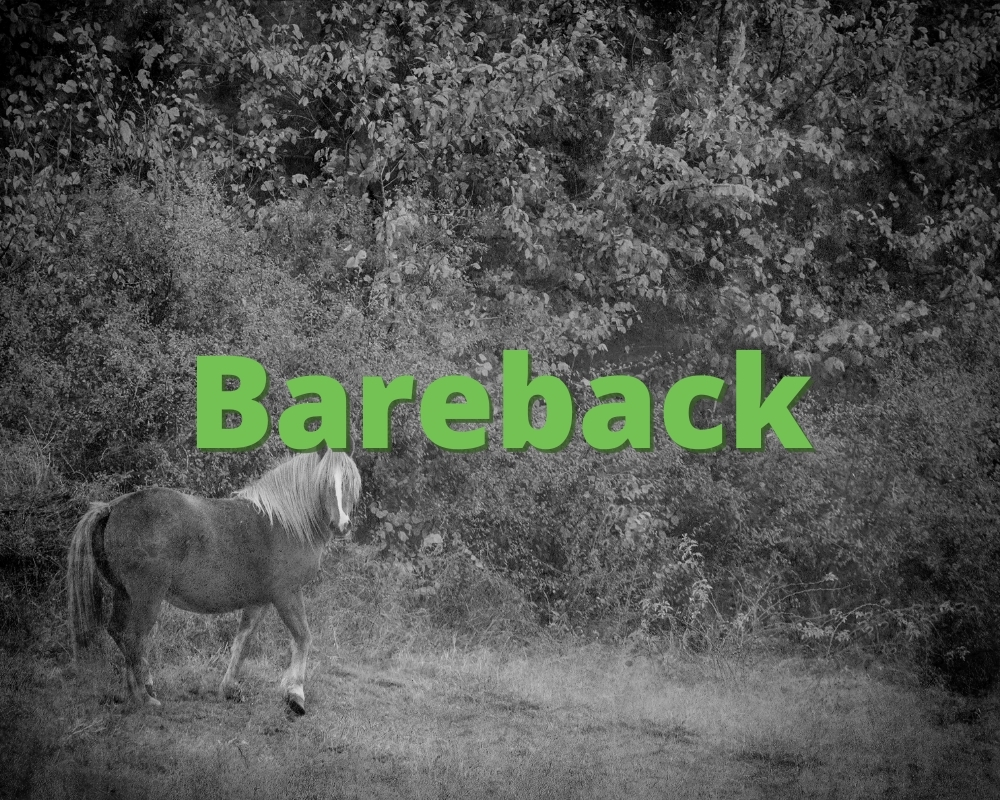 Bareback What Does Bareback Mean