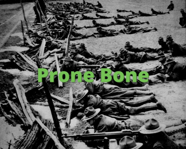 Prone Bone What Does Prone Bone Mean