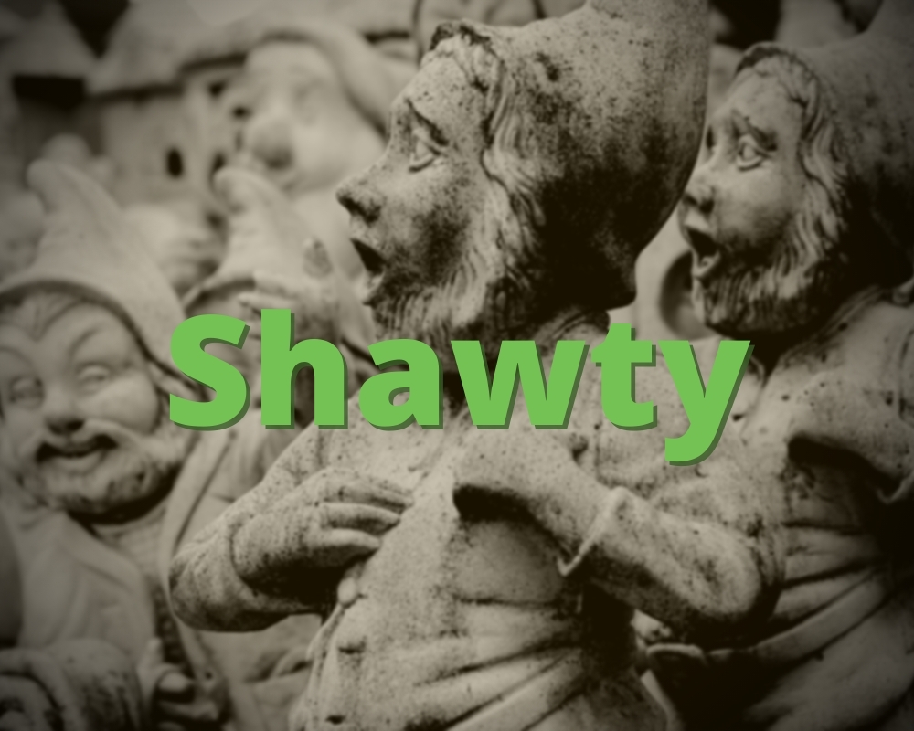O que significa what does shawty mean？ Does it mean pretty girl？ ? -  Pergunta sobre a Inglês (EUA)