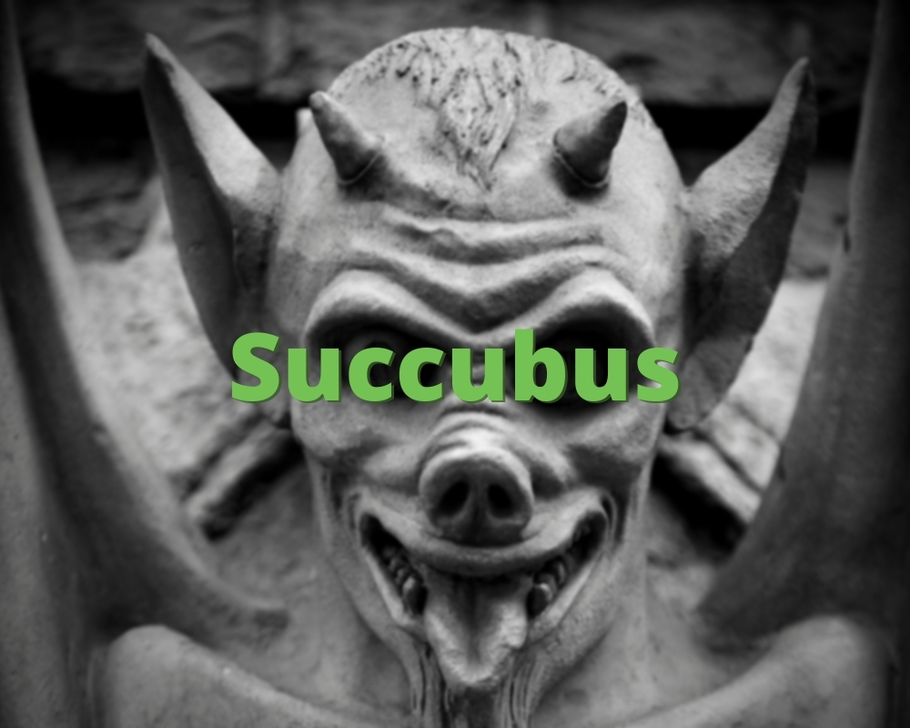 Sex succubus Demon &