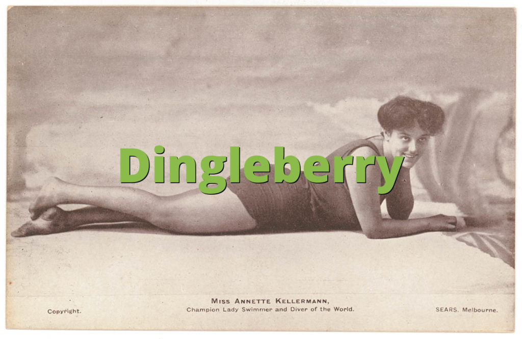 Dingleberry