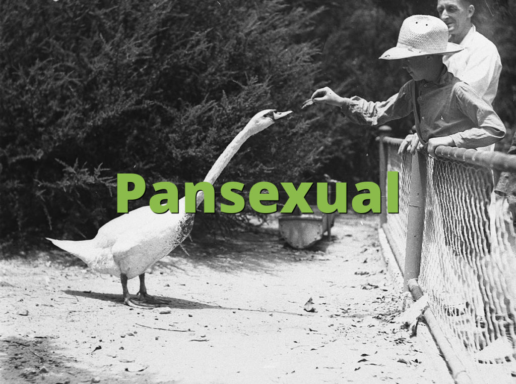 Pansexual