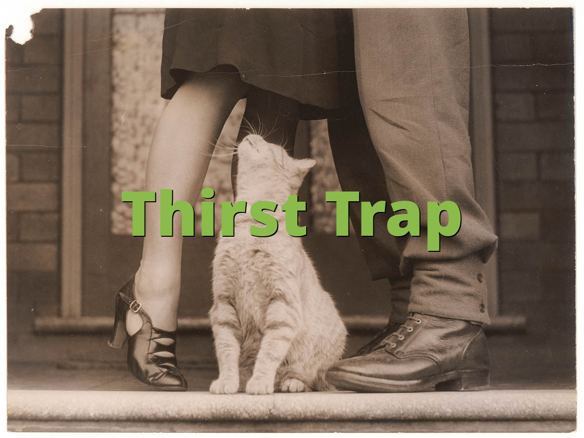 Trap meaning thirst TikTok: What