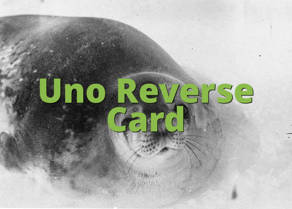 Uno Reverse Card